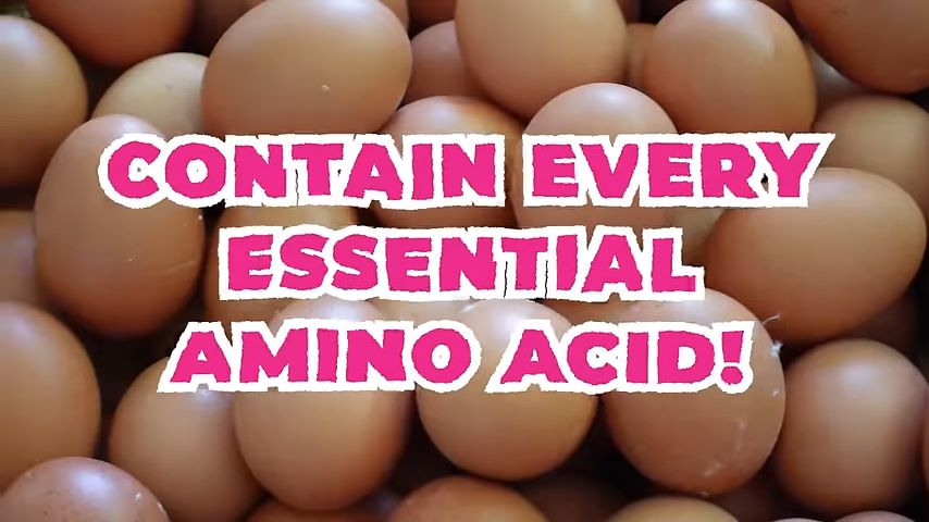 Eggs for metabolism 