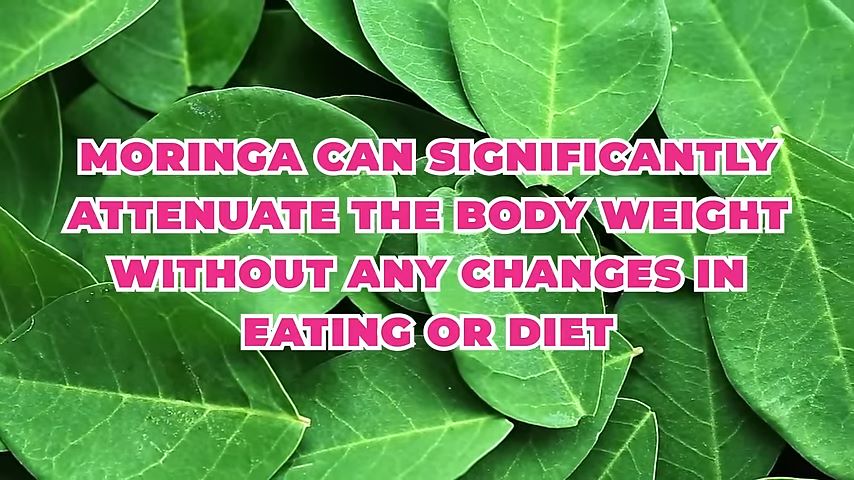 Moringa 