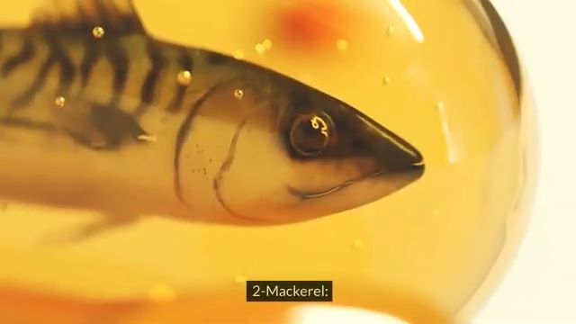 Mackerel