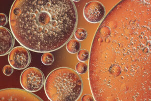 The Secret Connection